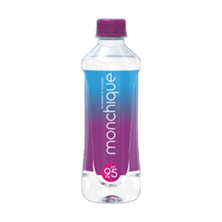 Água Mineral Alcalina pH 9,5 Monchique - 500 ml