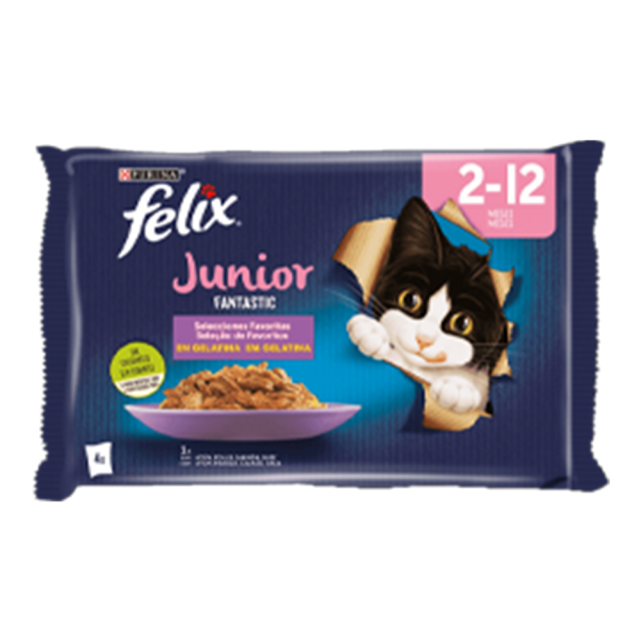 Ração Húmida Purina Felix Junior Fantastic GAMA - 4x85 gr